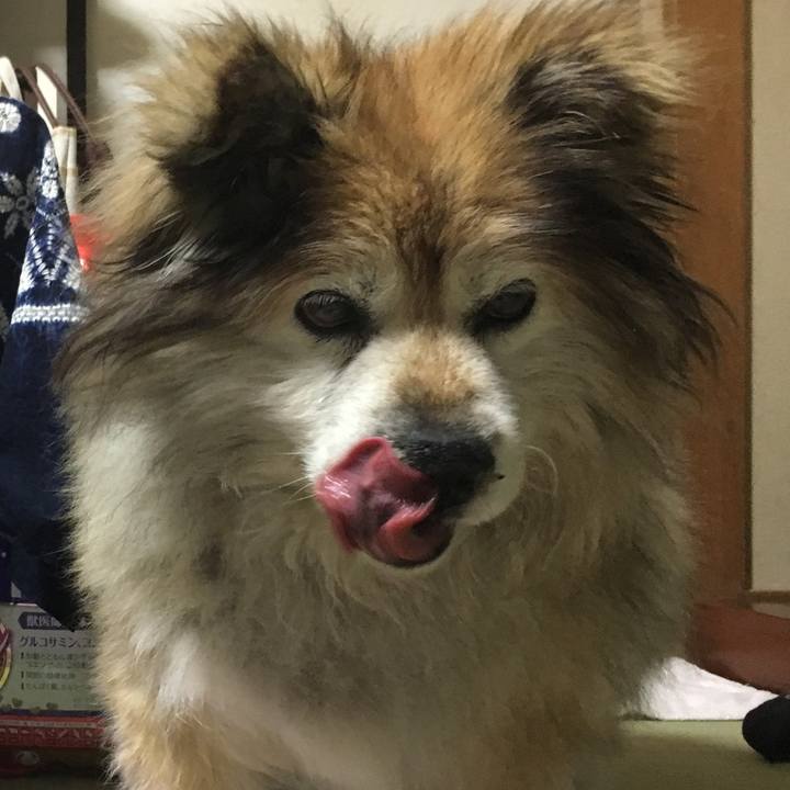 Df343237 ccc1 4d90 afd0 1215a447389c 1603687284239