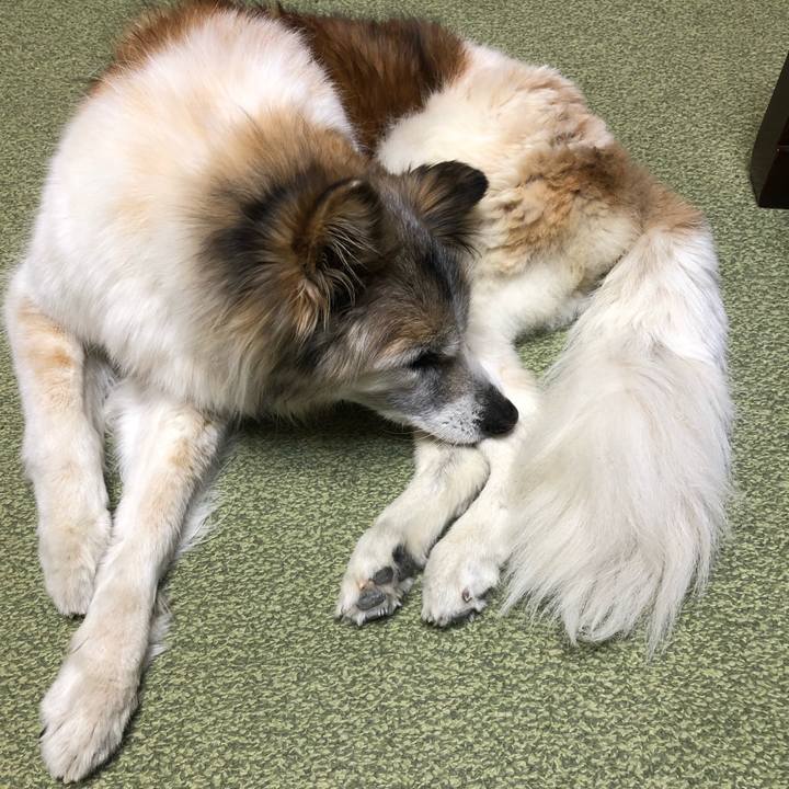 Df345e33 82ba 4082 9eec 2e3f27876798 1555497716010