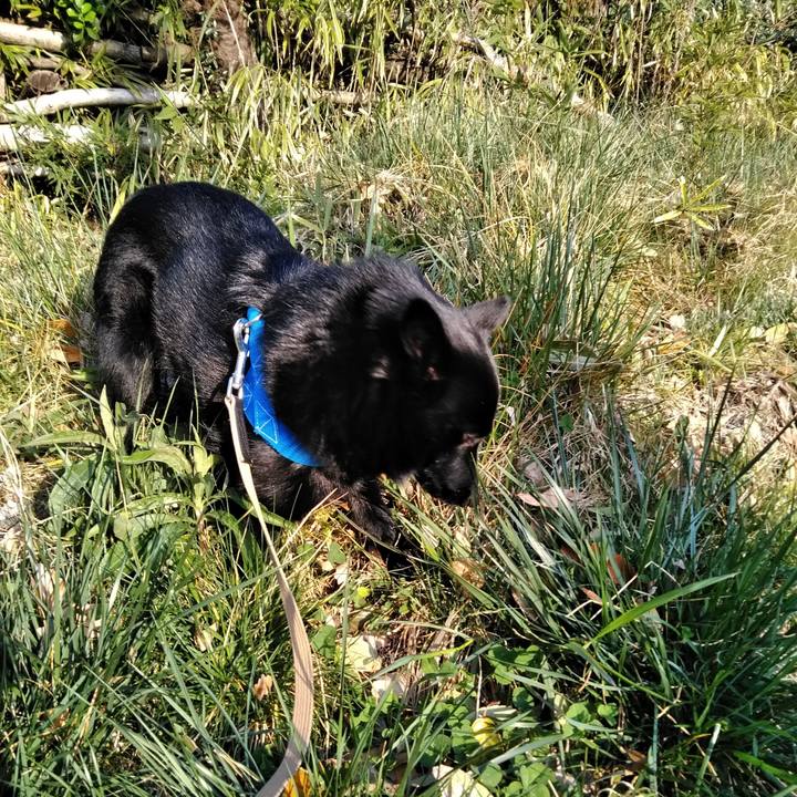 Df3499b7 02eb 42ea a0f5 625dd1001d5b 1554758653159