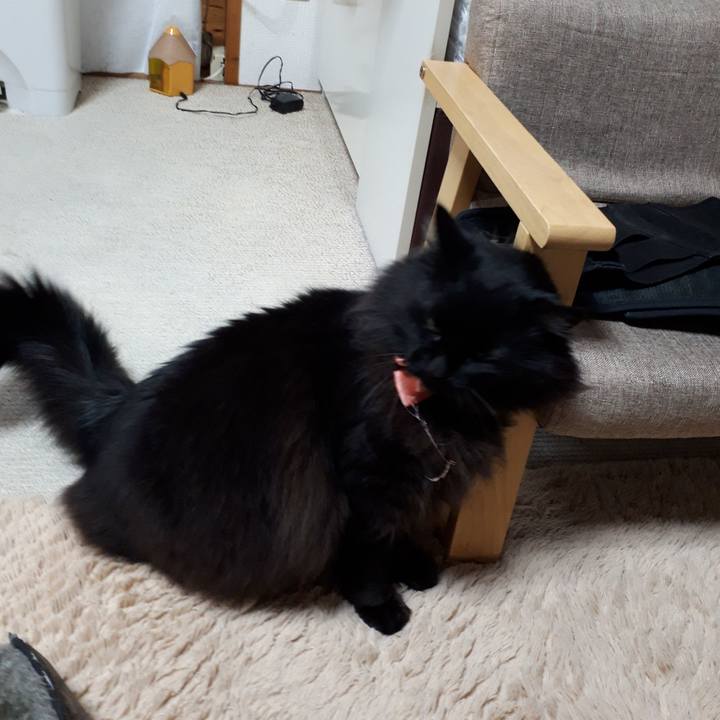 Df349a10 c9d0 4ec8 a3b4 969453f5e917 1521142315200