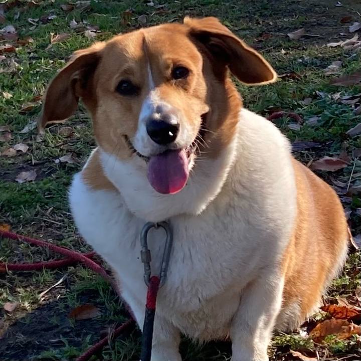 Df34d3b6 d60f 4b36 8698 f6dec11b0ab3 1670462593023