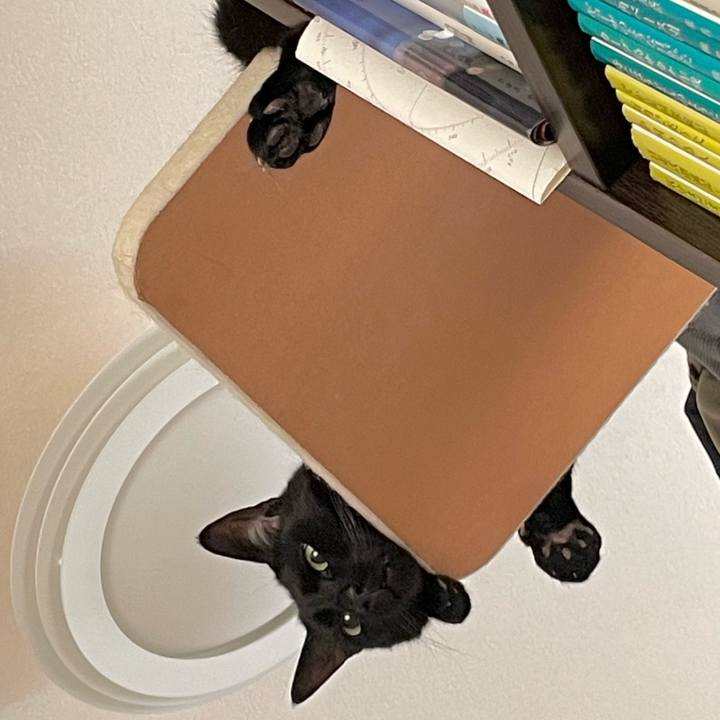 Df3511d7 4b80 4ff4 983a bad861392c7c 1654346167352