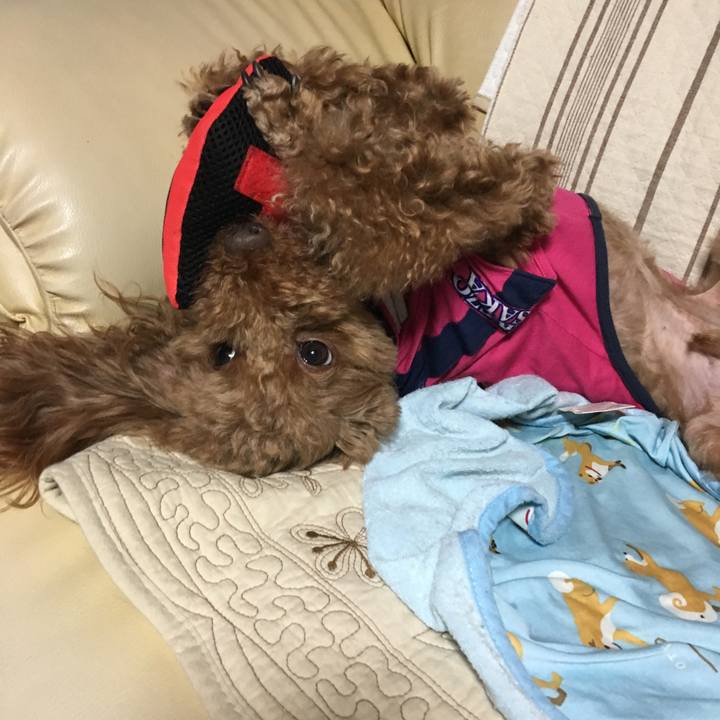 Df3519e3 0afa 44a9 a20e baa1d44ba0fc 1529280549571