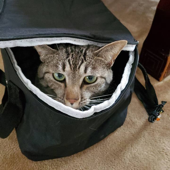 Df3566f1 9b75 431d 9ae3 c9a3f3d3e472 1713234577664