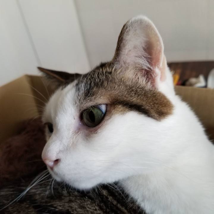 Df35acea c8f0 42cc 8e85 c8fda4a903b9 1616801233568