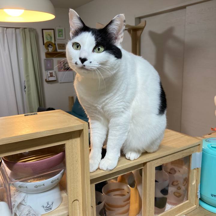 Df35b1fe e1c3 4799 a5db 00e3273faa9d 1774472044204