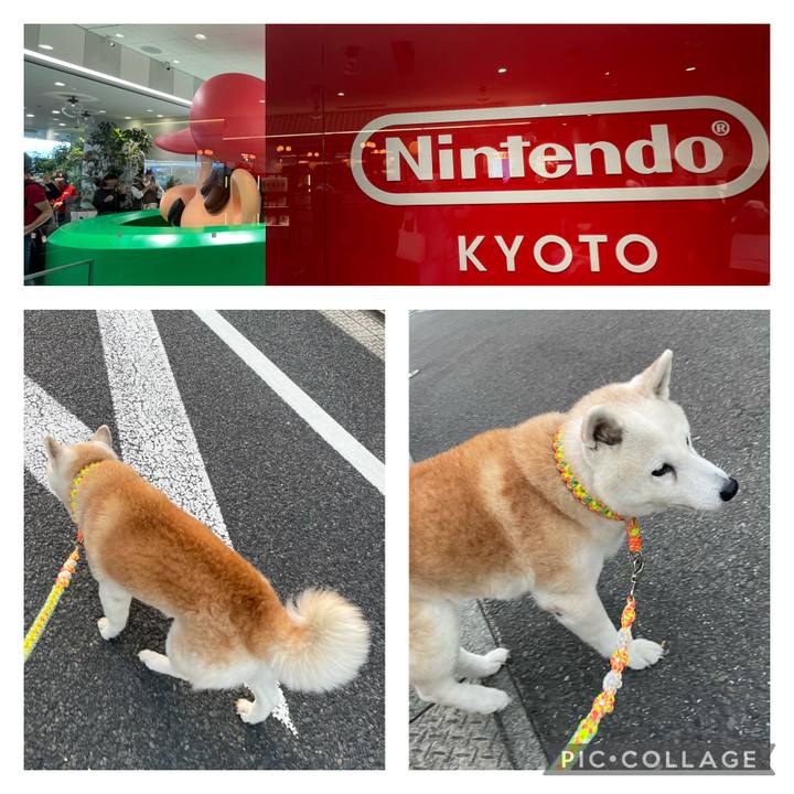 Df35d2b4 bd97 4f57 956f 0a225842316d 1697583147597