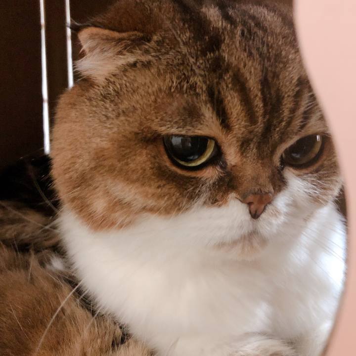 Df35d9bb 94de 4adb a9f4 b33bcf632dc0 1588303825088