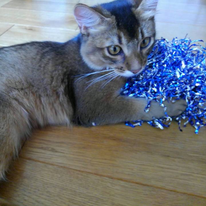 Df35dd23 9f82 433e 97d4 2c6a4ca61f9d 1564547624239