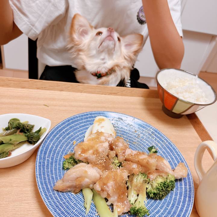 Df35e796 4abb 4726 809e 4bd2b106b5f8 1661159491720