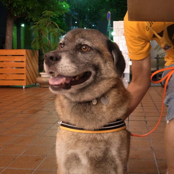 Df35f262 05ec 4dac ae06 961d2a3443fd 1582677764259