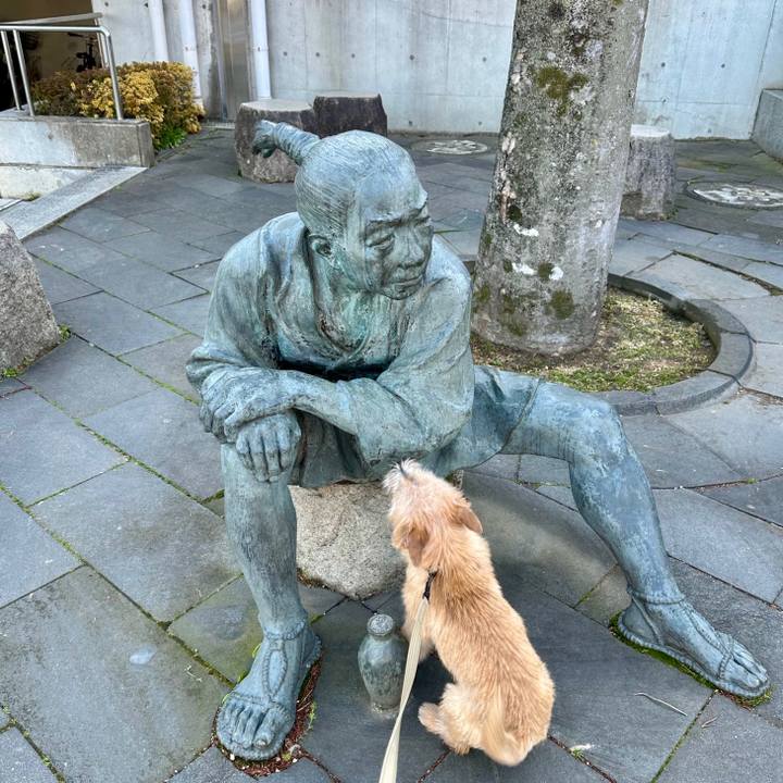 Df35f980 f319 4bfe 9b18 d1ff0b6a5c66 1710503658334