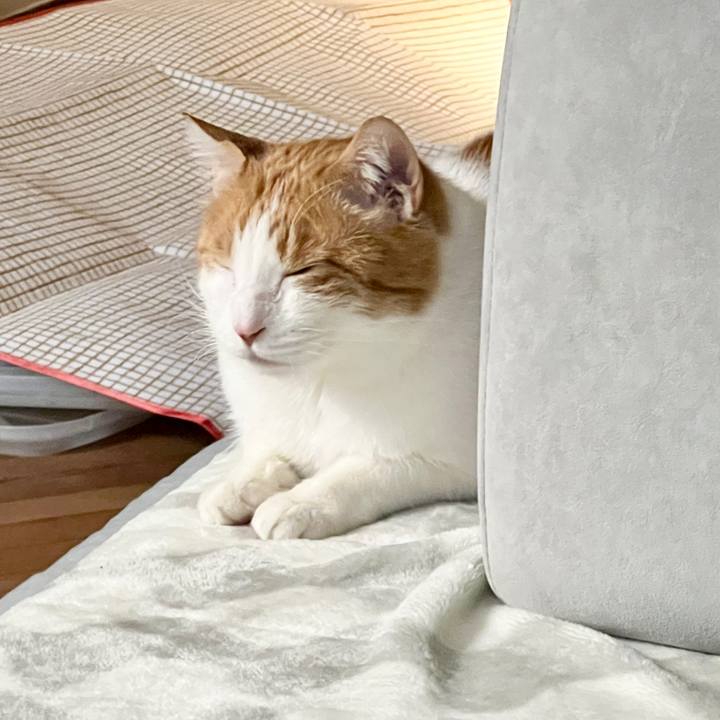 Df3639f2 457b 4d79 8e5a ee4b037d3215 1769086326819