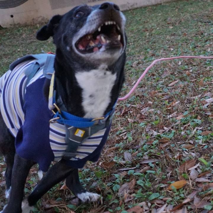 Df36d176 d41a 4de6 9149 5399d81d23c2 1764807509647