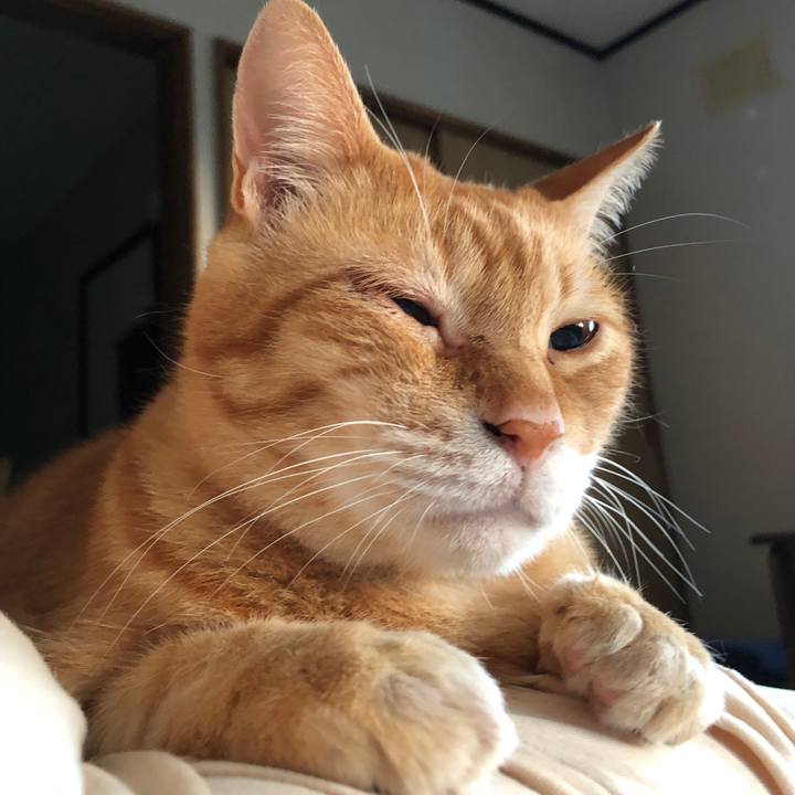 Df37384b 08f3 4c04 8d5c 818b0c8dfec8 1691094900250