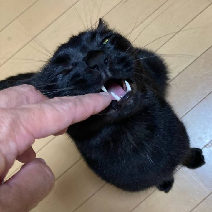 Df37f110 c7b0 4aab 8a69 1453a883a4f0 1762141424701