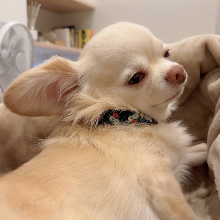 Df3810be d580 4e2b ad0c d278862f1601 1729683726889