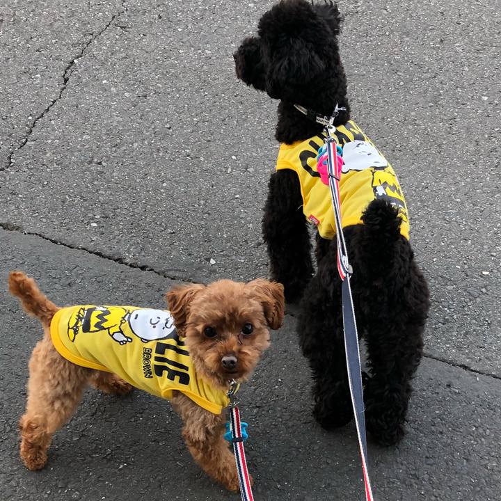 Df381d57 9937 4fba b2a8 ec41a9c72893 1551511348004