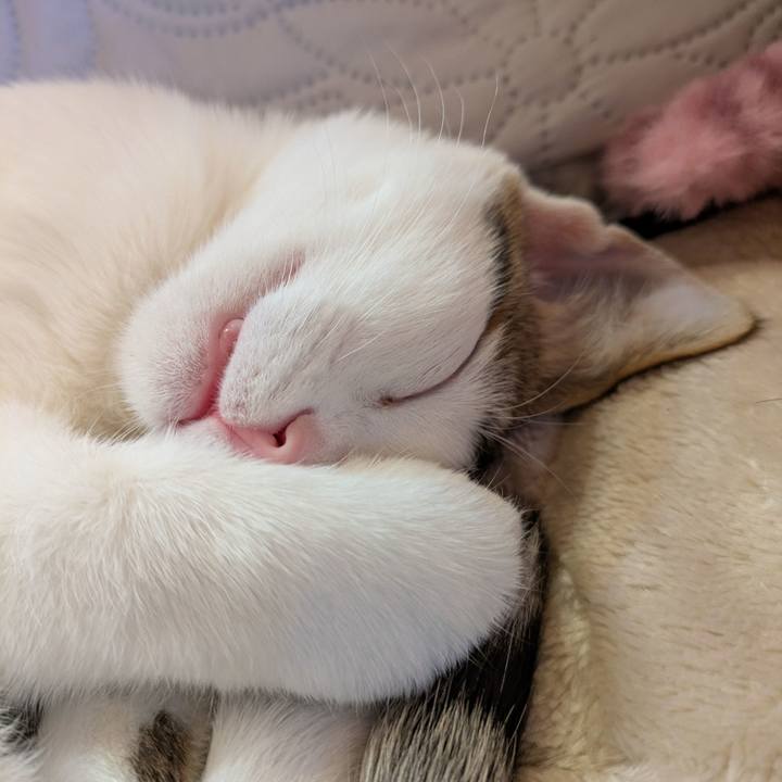 Df382029 68fd 4c92 bcde ec243fd5901d 1768012845482