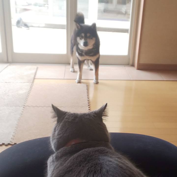 Df383573 dbc7 4f83 b75c 904d867e6a17 1554871406879