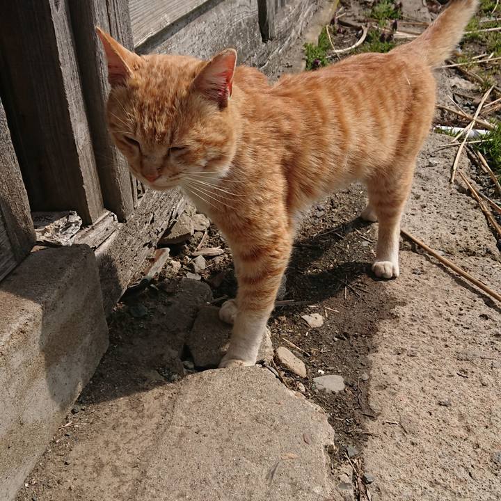 Df3854eb 7716 4fe7 89d9 1a57c64f90e3 1554612420074