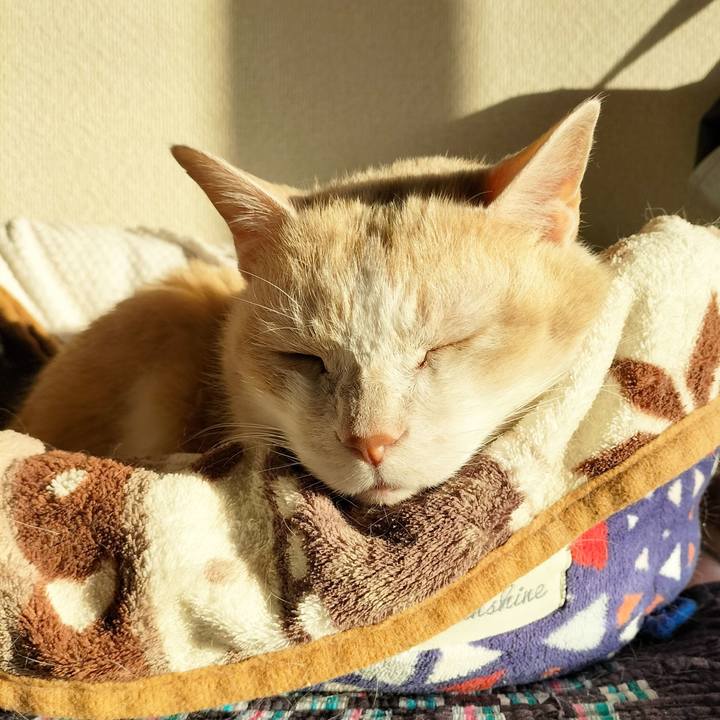 Df389371 8a0f 462f b369 799574477c6c 1675637561026