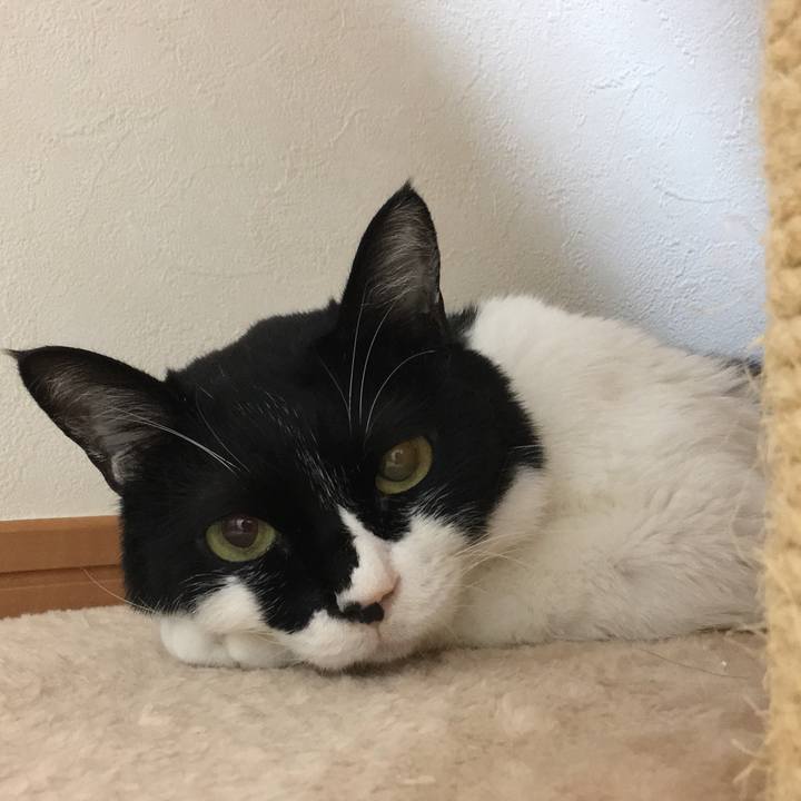 Df38c5ff eb5f 4193 b201 1b1731e42b8b 1628393265945