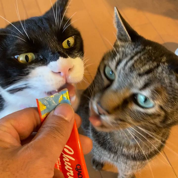 Df38d351 365d 41f8 be82 de3135102ba8 1667392079737