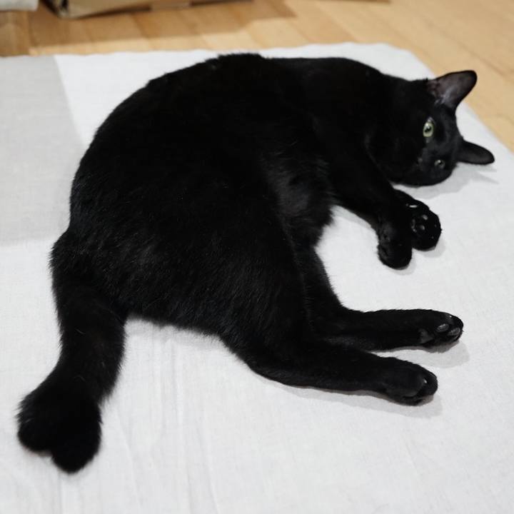 Df38e1c5 0f61 499e 857d 223072f0adf1 1565880755831