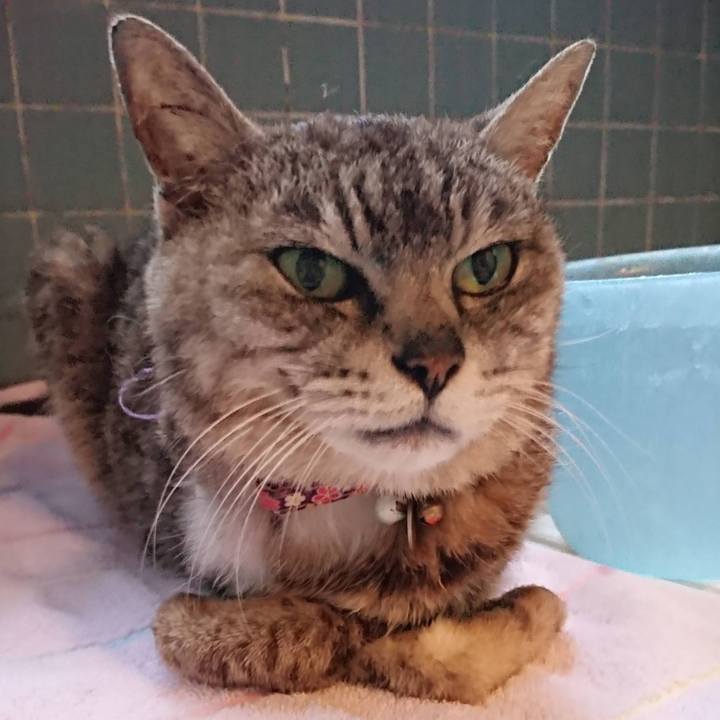 Df38e671 c3ed 4b32 8ee0 6e60e04a4c1d 1754301156064