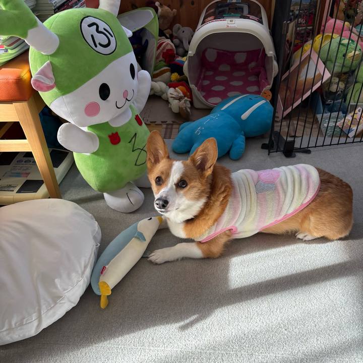 Df3910fe a886 4661 8ae3 ba035575c8bf 1767927405811