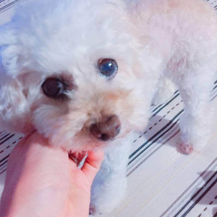 Df3923fc 164b 4890 803f d7a0ef403a70 1535156181331