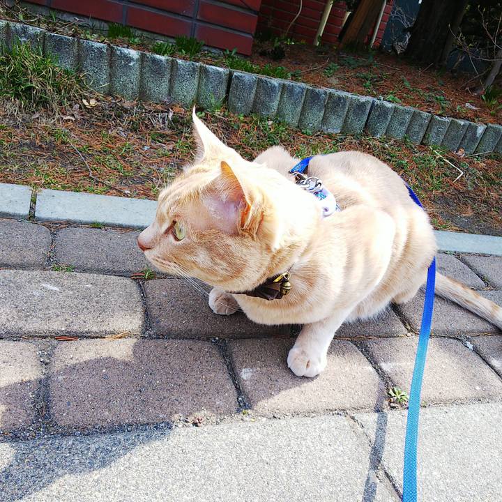 Df393cb6 93b1 4841 b1ff e170b4e0526d 1618198687832