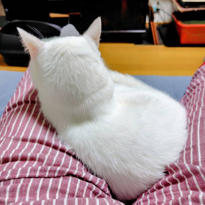 Df396434 adc4 497f 9003 fb4d02c468ae 1758365968556