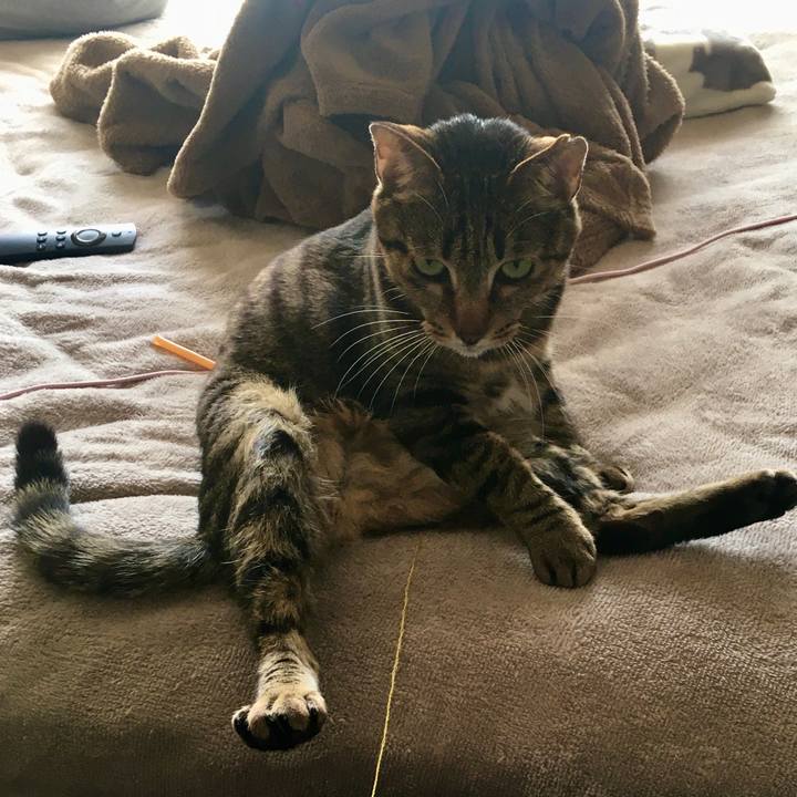 Df398add 665d 4ac2 86b7 34266b64beb4 1586492995109