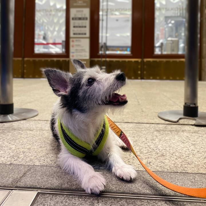 Df399c79 691a 48a6 8324 f7735d84e588 1597059125467