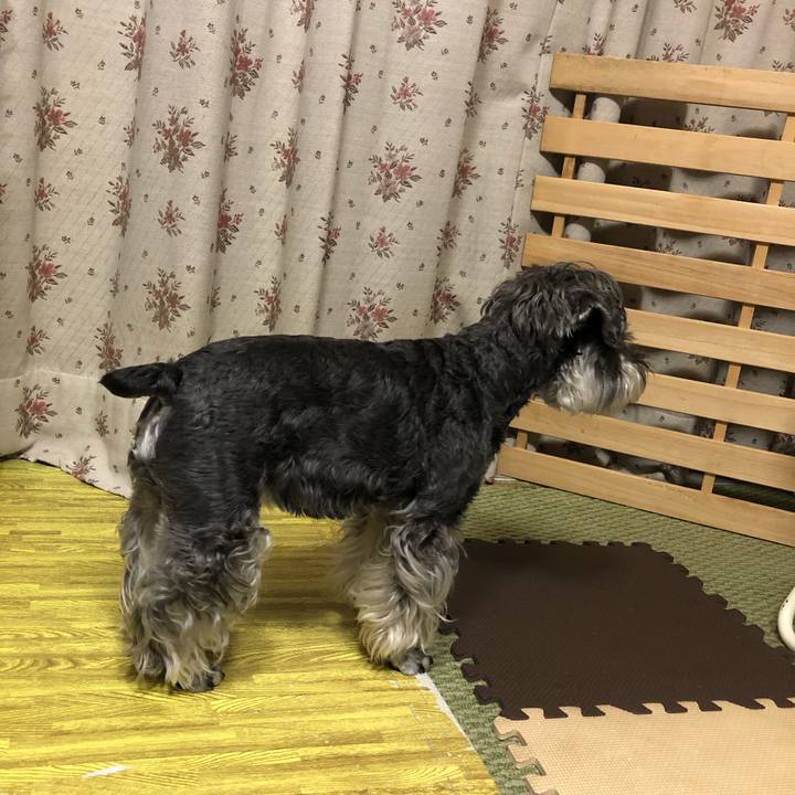 Df39c722 1392 4506 b1e3 3e73a0619bec 1690463684988