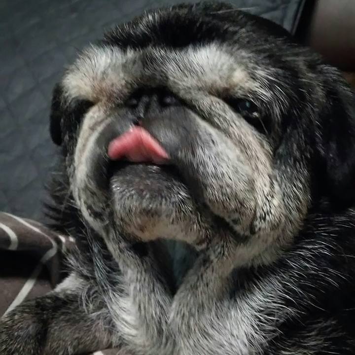 Df39d99e c551 4316 89ac d4f7ff4ded2b 1540297278362