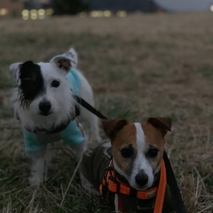 Df39daf4 b07c 47c2 89b3 6fc82ce0a16c 1576052727327