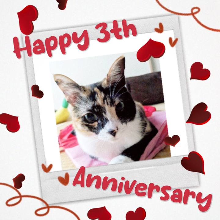 Df39ea1d 6842 4ac0 a1eb 3959ce1f479a 1687839699106