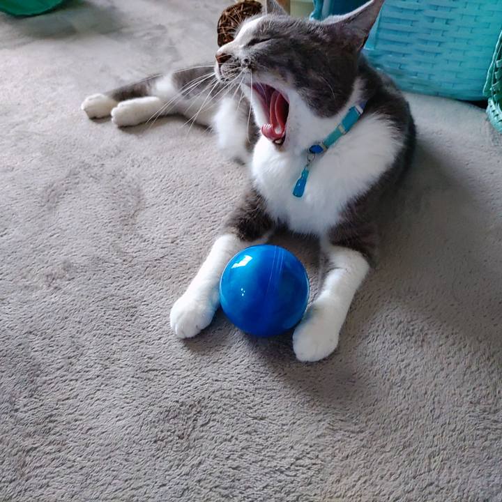 Df39eb00 85ab 4489 bc68 8e94f92e2972 1656058295935