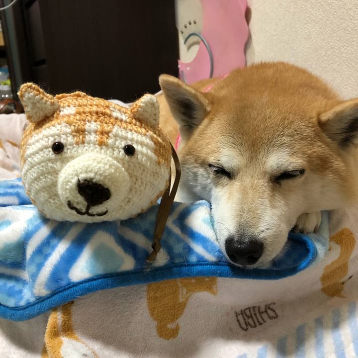 Df3a3829 fbfd 42b0 a3d3 9b96131b53ee 1604843220529