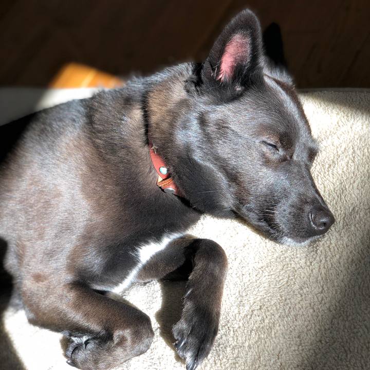 Df3a4d51 e21d 4bbf a49f b02d71b1ab2c 1577408813199