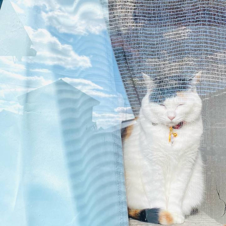 Df3a5238 e39f 4547 8f2b 4f60baf8c399 1705397337625