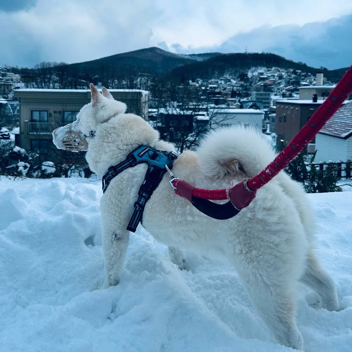 Df3a605f 15de 415a b392 15b12b4bf71d 1735856392847