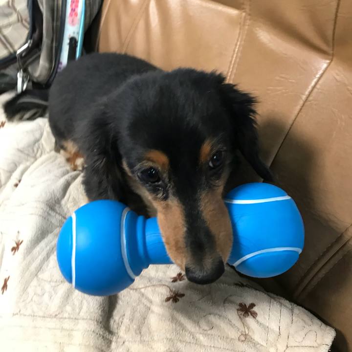 Df3a6f03 11cc 4d86 a8a3 076a73801bf3 1511733634181