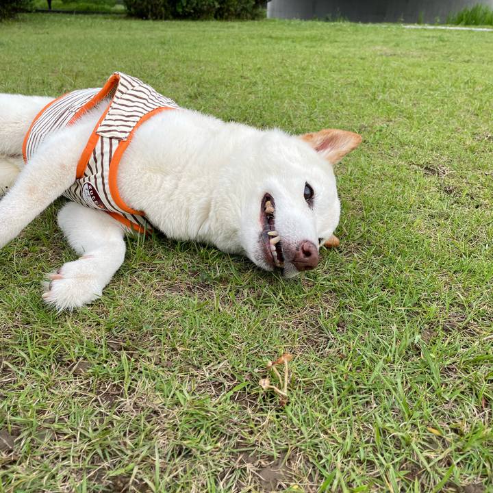 Df3aa419 6ca8 4607 83ff d5aaebe7b244 1655371110317