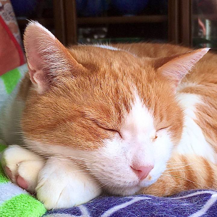 Df3abe3a 71ae 4d46 a906 a0a9dea74710 1607071621341