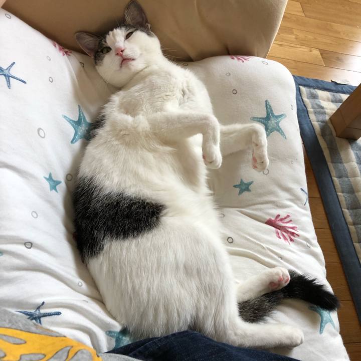 Df3ad0da 1594 4467 9467 163f8749349f 1598346760030