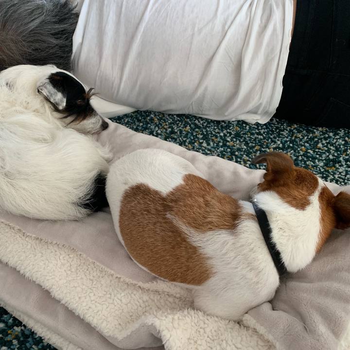 Df3adf5b 6a2f 4467 8f75 5b84d04e30b7 1567926931684